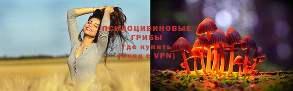 PSILOCYBIN Алексеевка