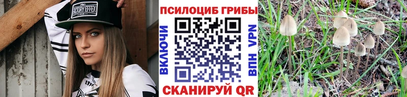 Галлюциногенные грибы мухоморы  МЕГА ONION  Чебоксары  наркотики 